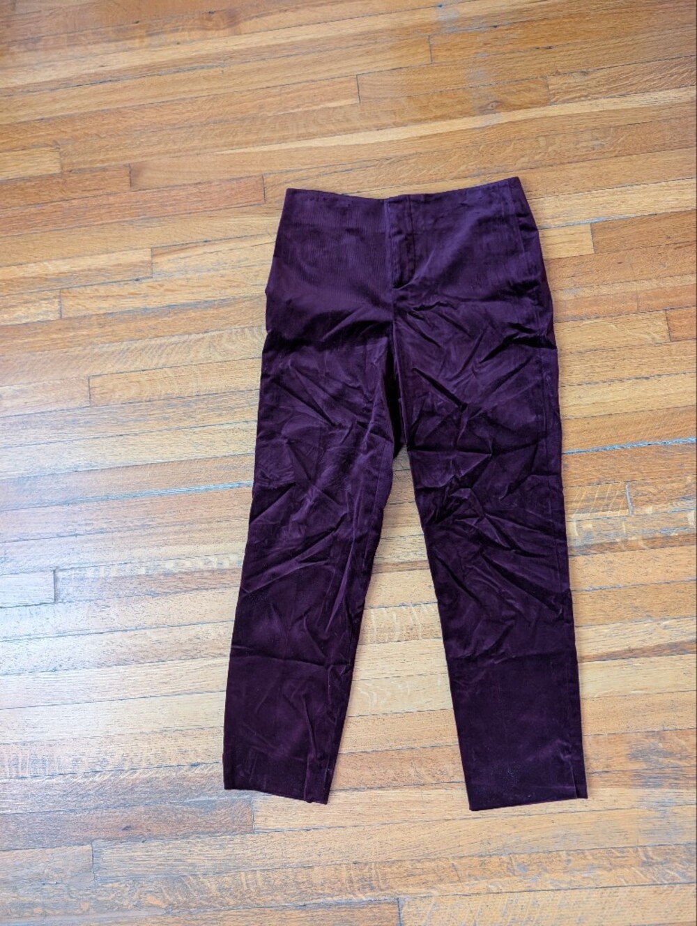 Zara Women's Velvet Straight Leg Pants in Dark Plum